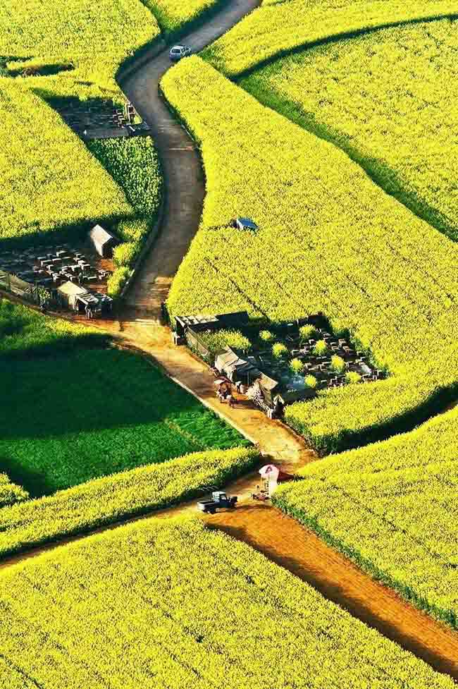Khi dịch bệnh kết thúc, đây là những nơi đẹp nhất ở TQ trong mùa xuân này Khi dịch bệnh kết thúc, đây là những nơi đẹp nhất ở TQ trong mùa xuân này