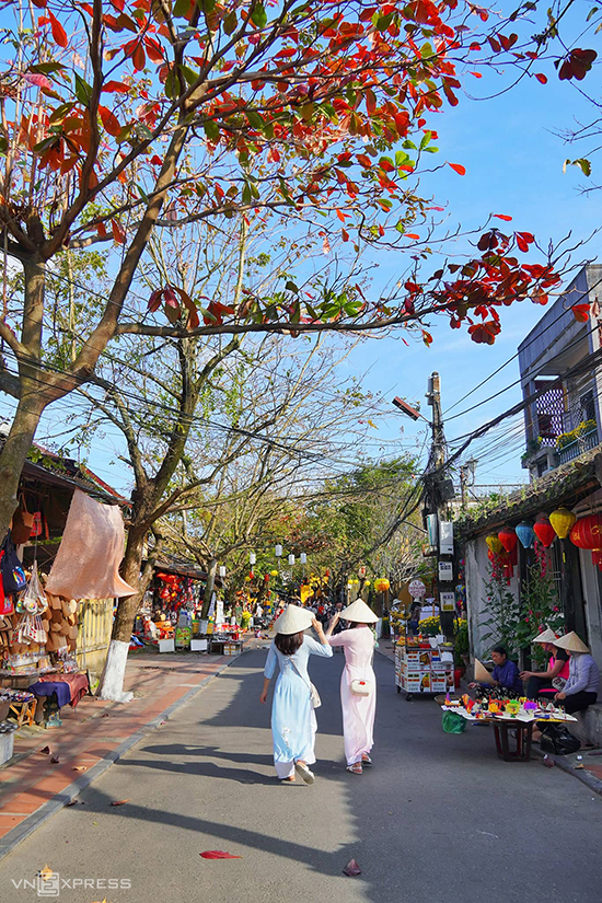 Hội An mùa cây bàng lá đỏ