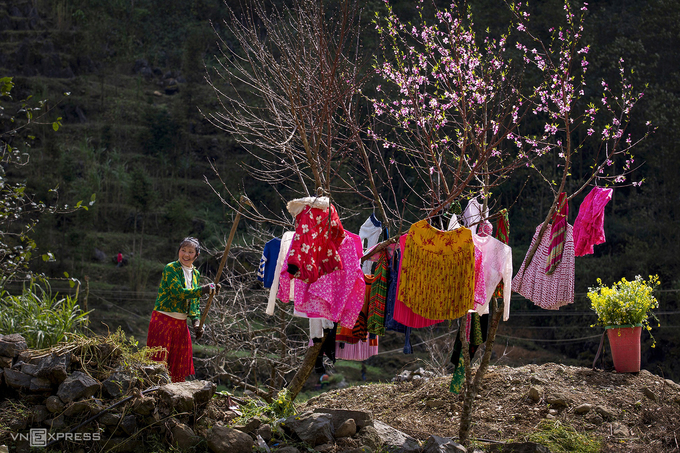 Sắc xuân trên cao nguyên đá