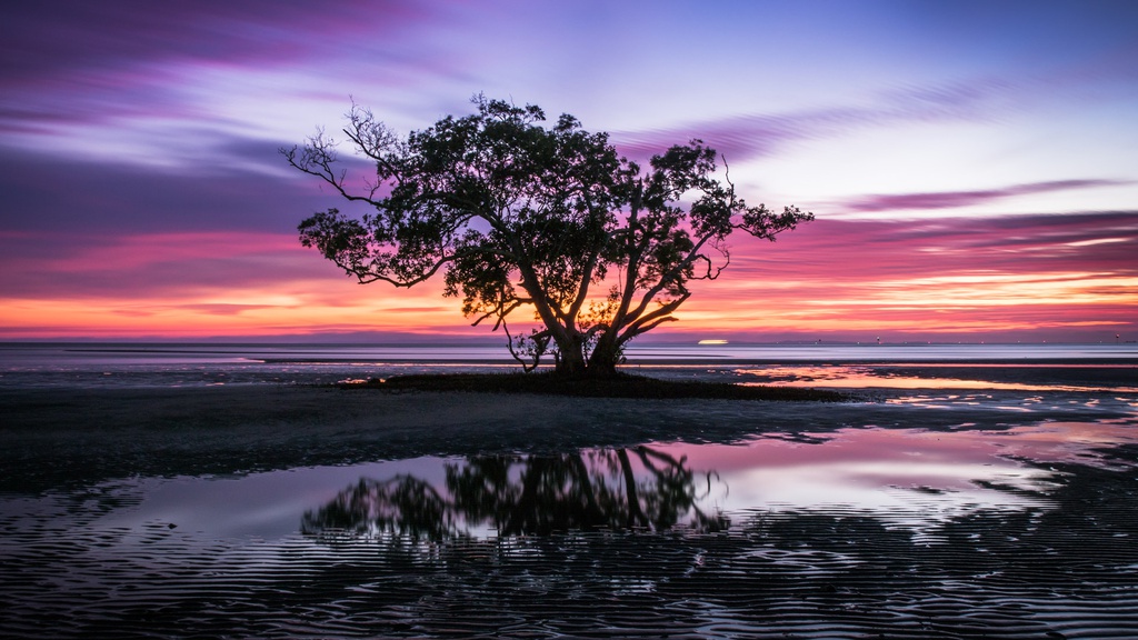 Thuy Si, My trong anh check-in cua 2 nu chinh 'Ha canh noi anh' hinh anh 22 Nudgee_Beach_Sunrise.jpg
