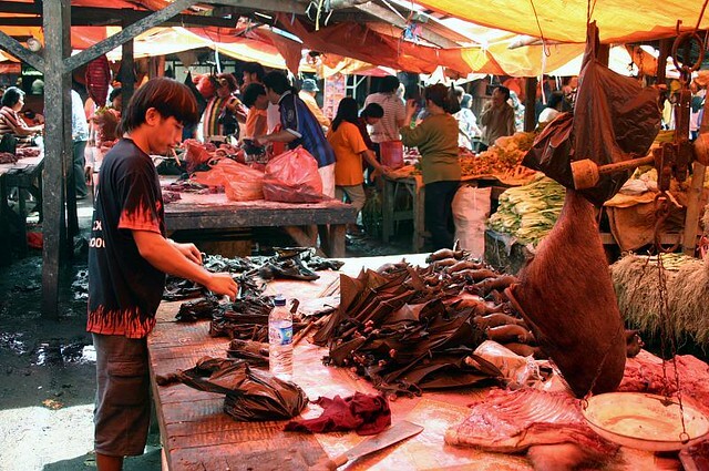 Chợ dơi giữa dịch nCoV Chợ dơi giữa dịch nCoV
