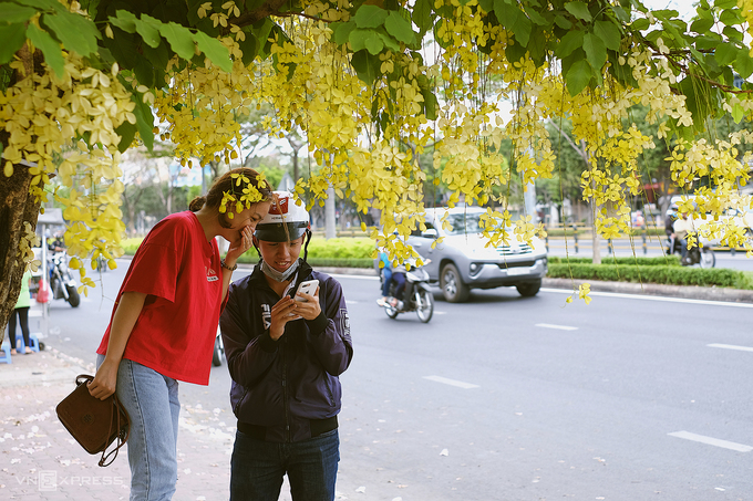 Hoa vàng nở trong thành phố