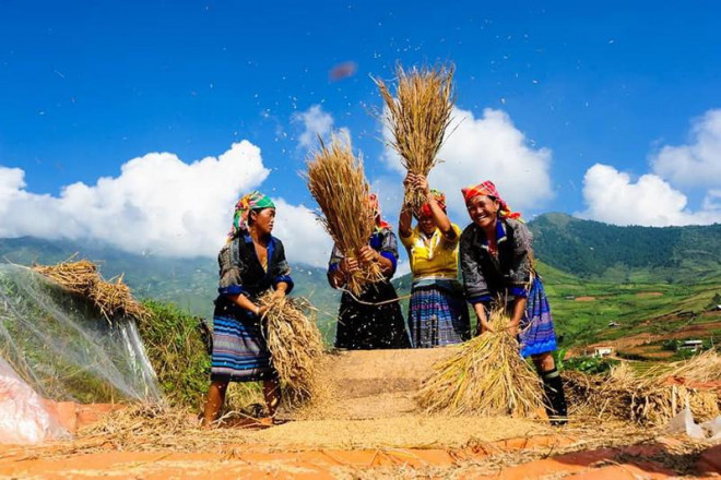 Ngỡ ngàng với “chim hồng hạc” trên dòng sông Nho Quế - 7