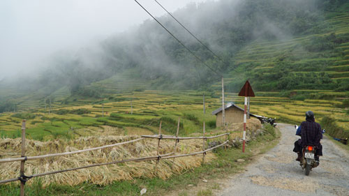 Đến Y Tý, say trên những nấc thang vàng - 3