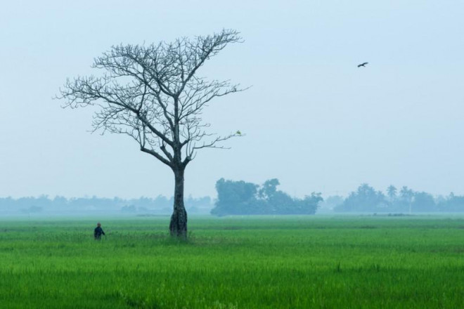 Phú Yên đẹp lạ lùng dưới góc máy của người xứ Nẫu - 7