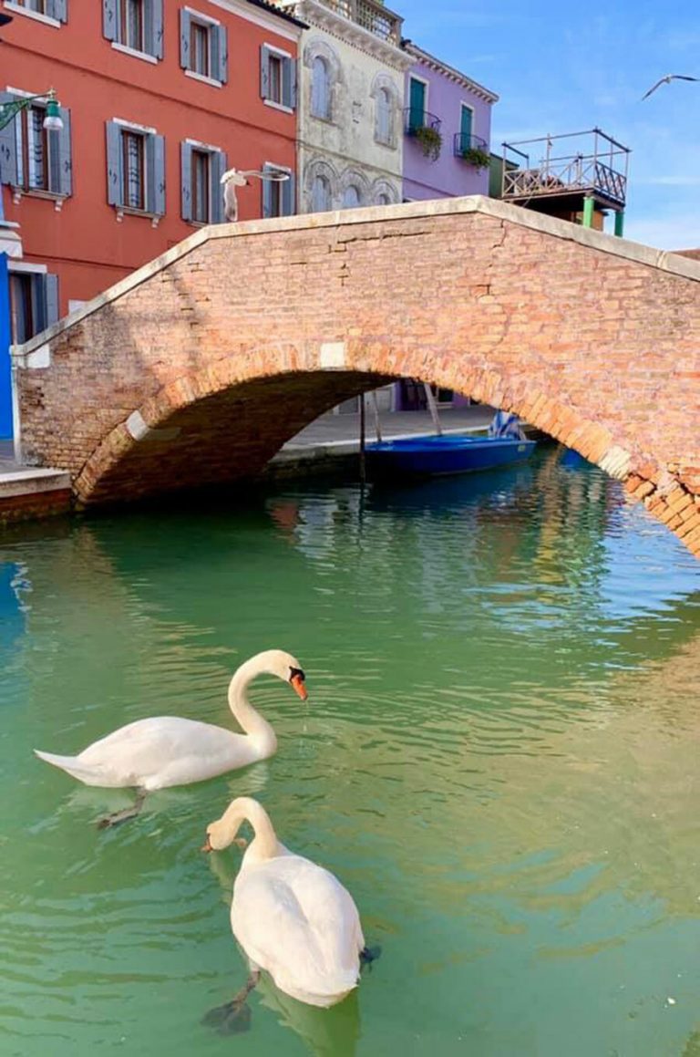Nước ở Venice trong vắt nhờ vắng khách Nước ở Venice trong vắt nhờ vắng khách