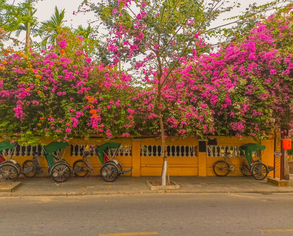 Hoi An tram lang nhung ngay vang khach hinh anh 4 79d0947e42a4b9fae0b5.jpg