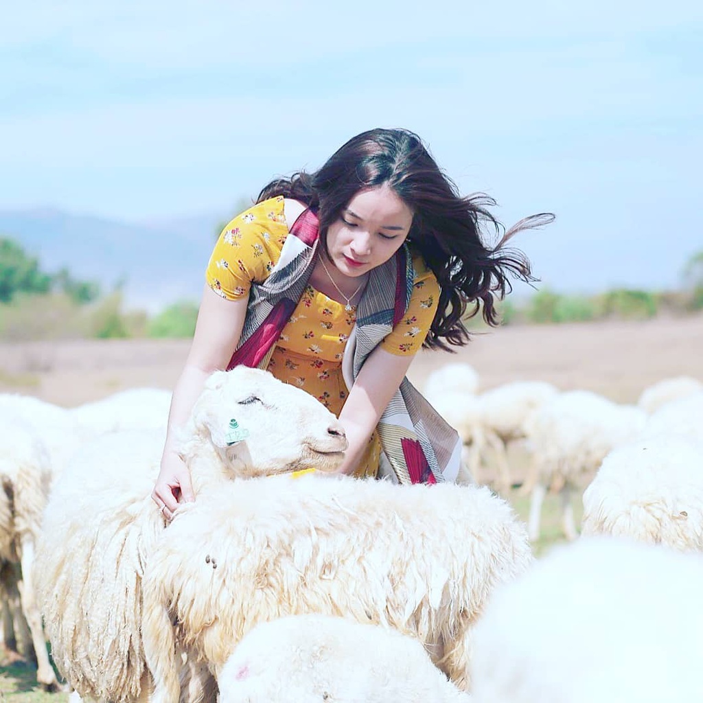 Doi Con Heo va cac toa do song ao tua troi Tay o Vung Tau hinh anh 7 7_1.jpg
