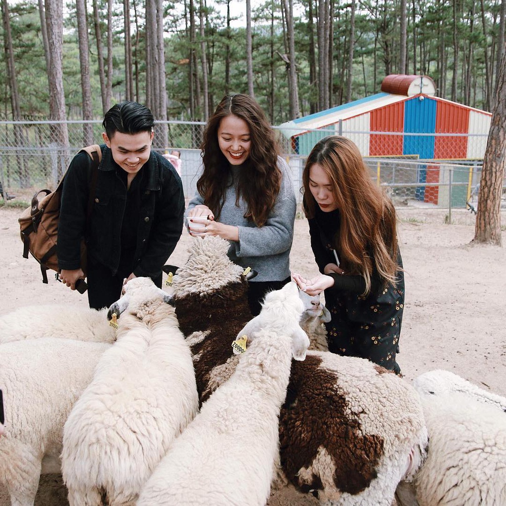 Check-in cung kangaroo, lac da tai khu du lich Da Lat hinh anh 9 b.jpg