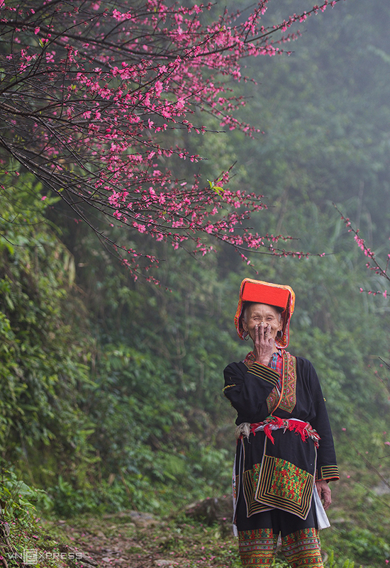 Mẫu Sơn mùa hoa đào rừng