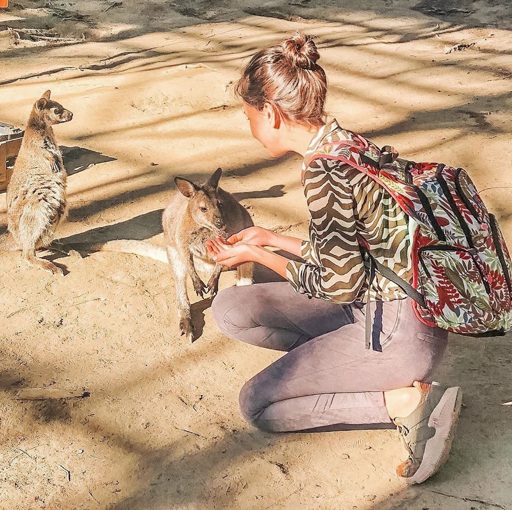 Check-in cung kangaroo, lac da tai khu du lich Da Lat hinh anh 5 e.jpg