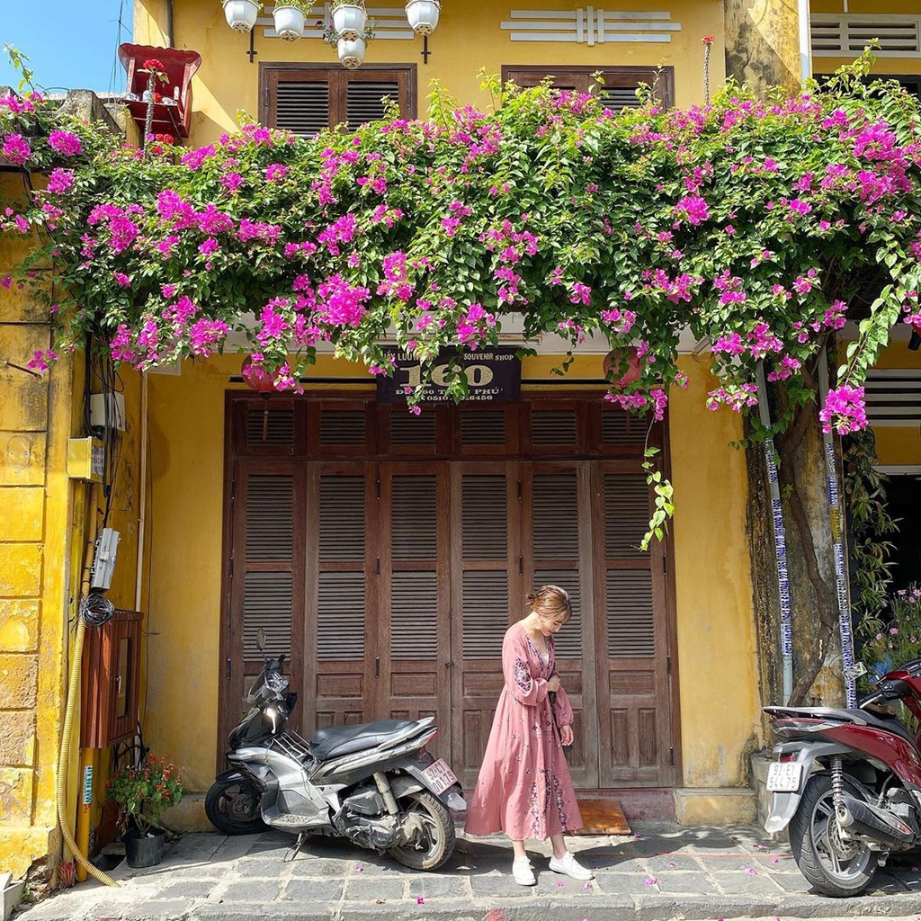 Ngam Hoi An mua hoa giay qua loat anh check-in cua gioi tre hinh anh 2 giay2.jpg