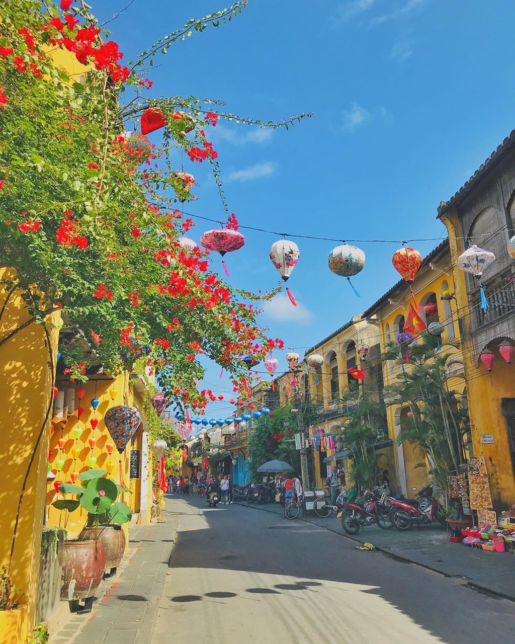 Ngam Hoi An mua hoa giay qua loat anh check-in cua gioi tre hinh anh 4 giay4.jpg