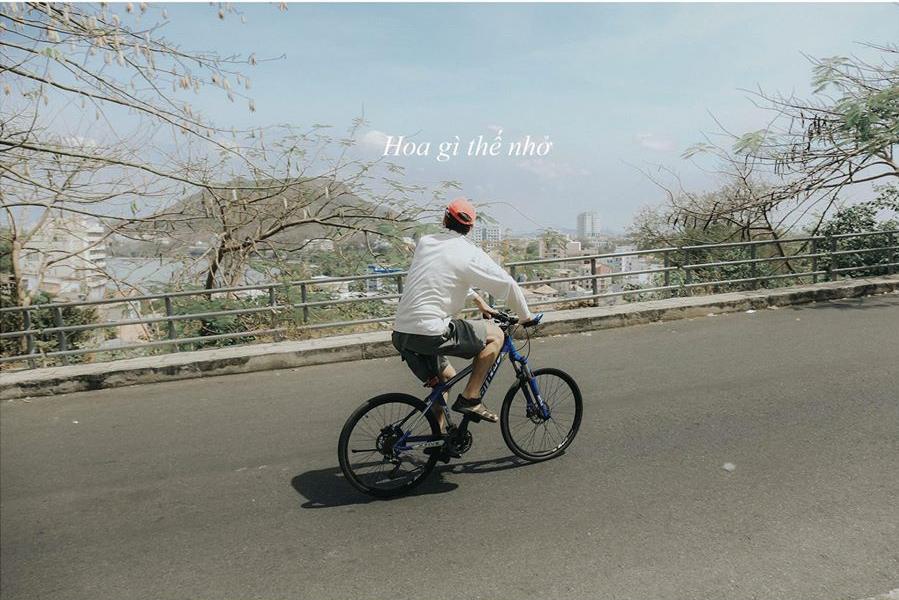 The gioi dao lon trong nha up nguoc - diem kham pha moi o Vung Tau hinh anh 8 gon1_1_.jpg