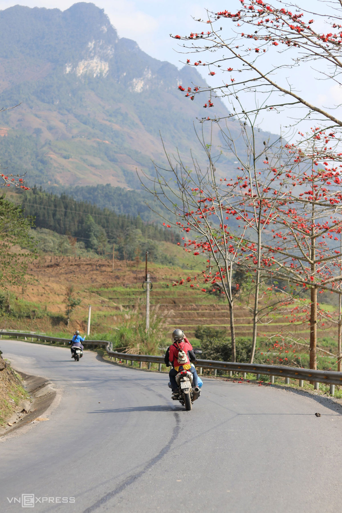 Mùa hoa nở trên cao nguyên đá