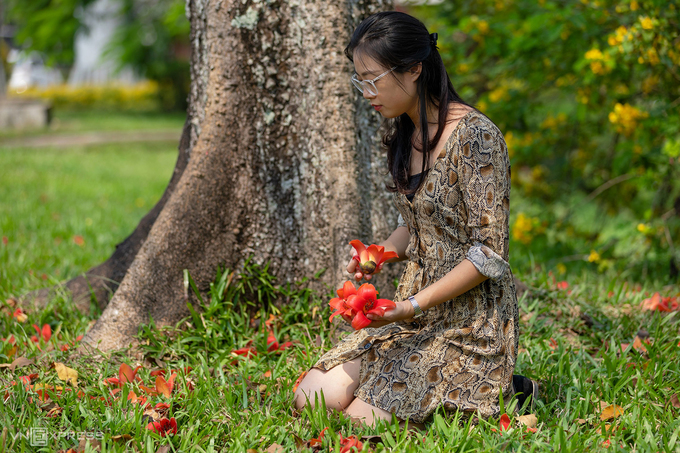 Huế mùa hoa gạo