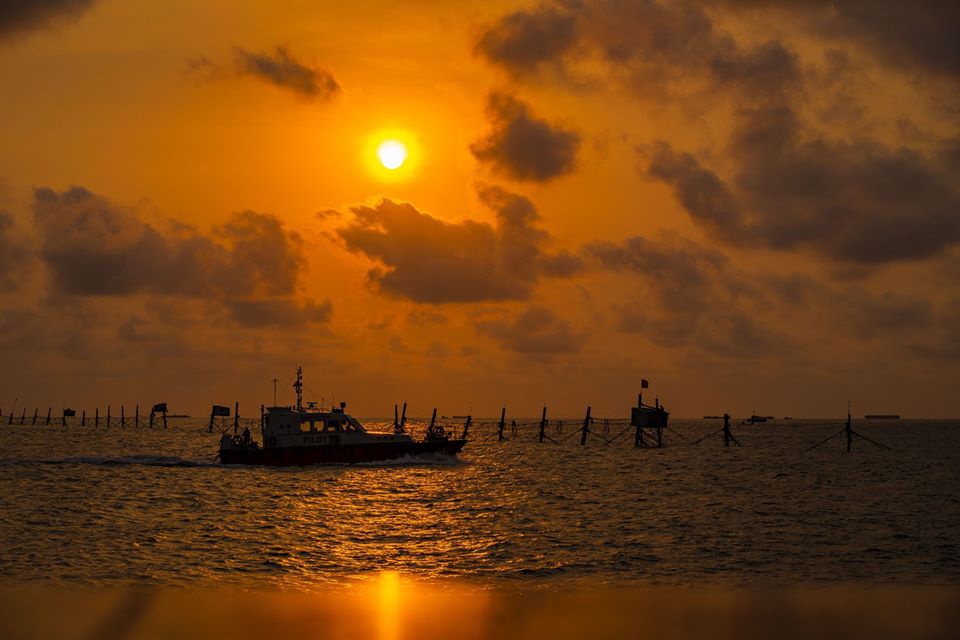 Trai nghiem san hoang hon tren bien Vung Tau hinh anh 1 hoang29.jpg