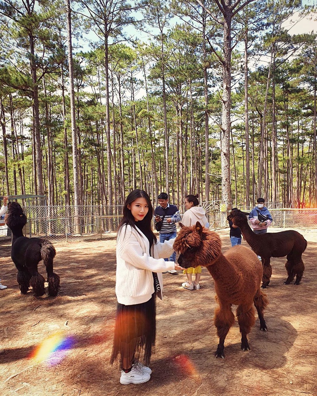 Check-in cung kangaroo, lac da tai khu du lich Da Lat hinh anh 4 huu.jpg