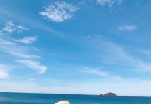 5 địa điểm nhất định phải check-in ở Quy Nhơn 5 dia diem nhat dinh phai check-in o Quy Nhon hinh anh 1 IMG_4273.JPG