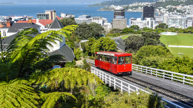 Mãn nhãn với 14 địa điểm đẹp nhất ở New Zealand - 8