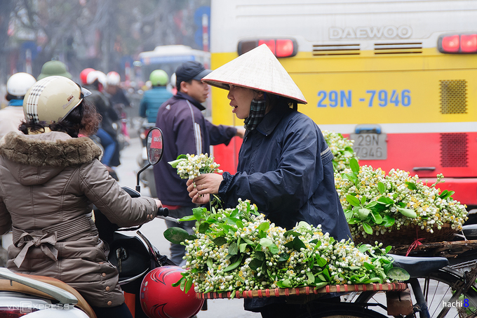 Những mùa hoa bị bỏ lỡ