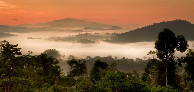 Những cuộc du lịch phiêu lưu thú vị nhất ở Malaysia - 3