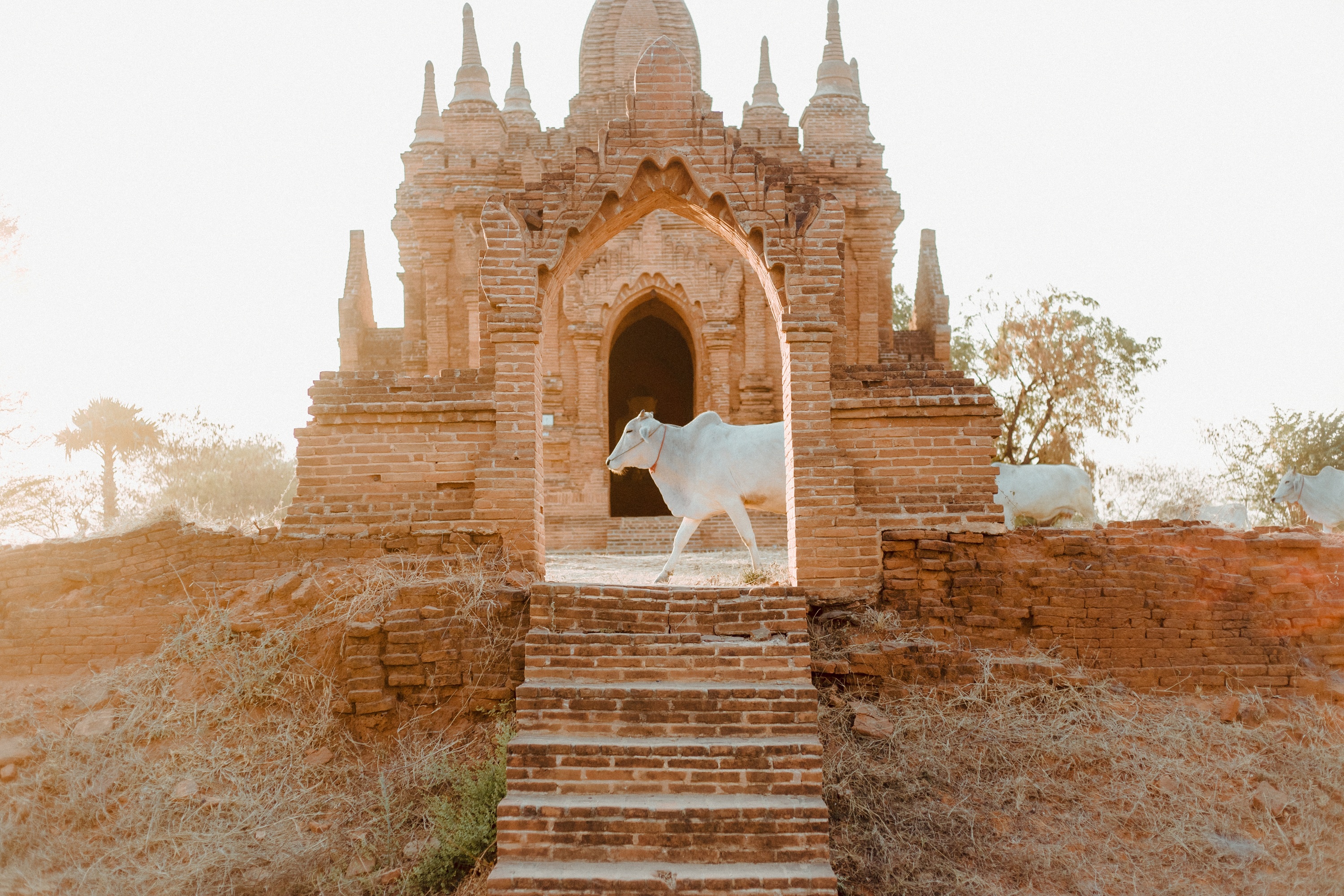 Cuoc song o Myanmar la nhung khung hinh binh di va yen a hinh anh 29 14.4.jpg