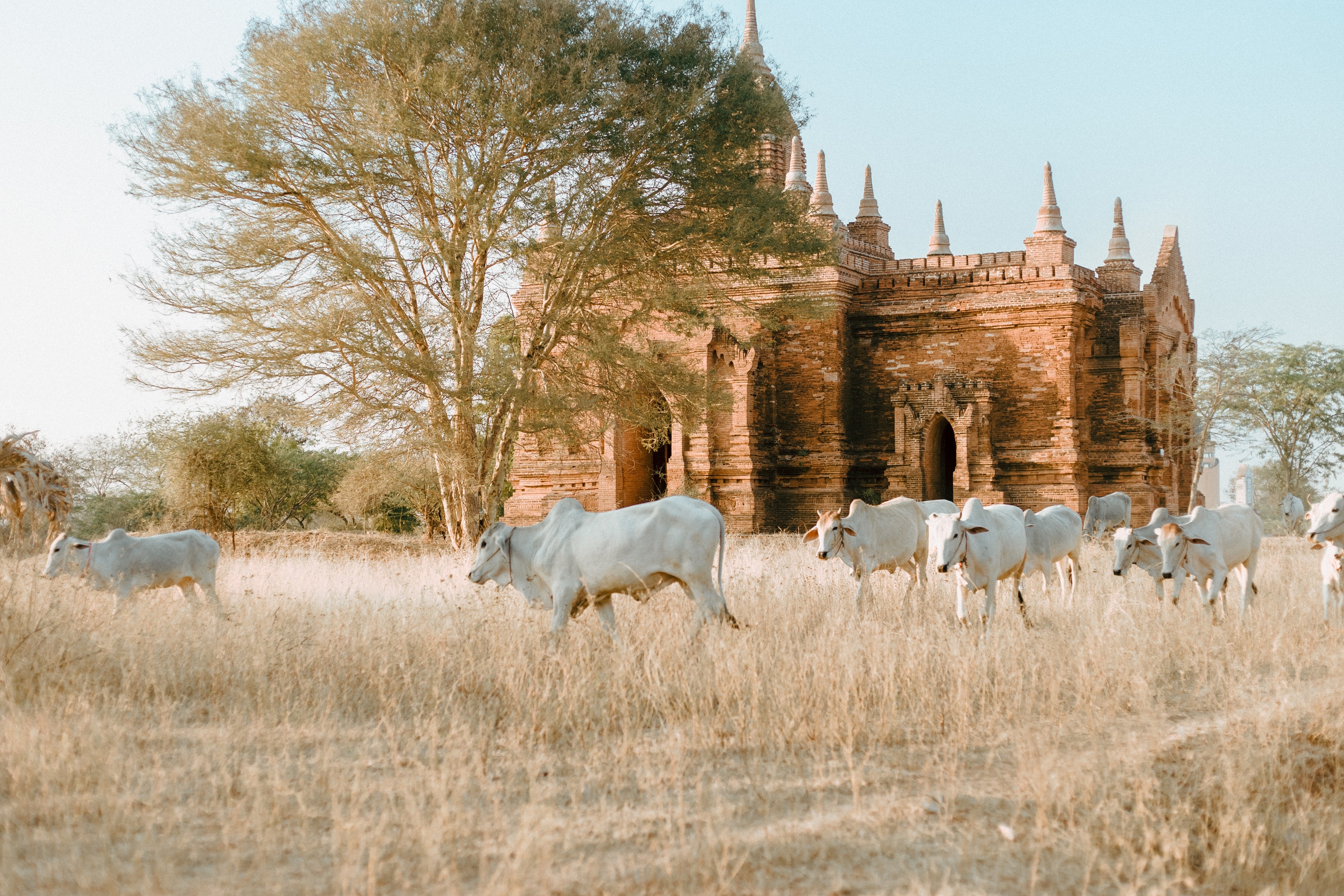 Cuoc song o Myanmar la nhung khung hinh binh di va yen a hinh anh 30 15.1.jpg