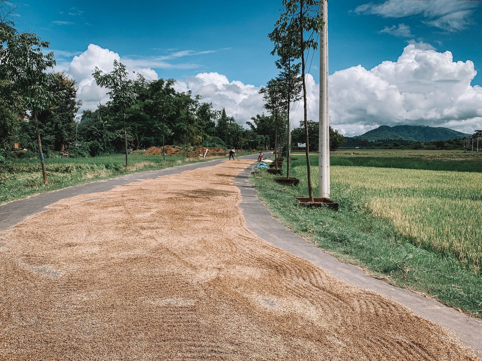 5 ngay di het Buon Ma Thuot voi 4 trieu dong hinh anh 9 17.jpg