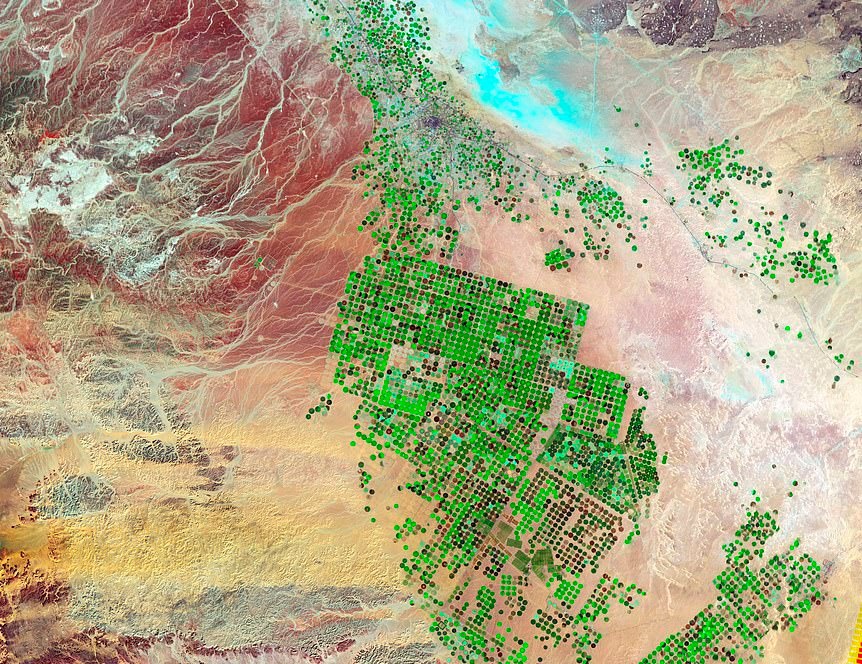 Trai Dat muon hinh van trang nhin tu tram khong gian hinh anh 11 26759952_8181215_This_image_created_in_2012_using_sensors_shows_vegetation_growin_a_109_1585925355595_1_.jpg