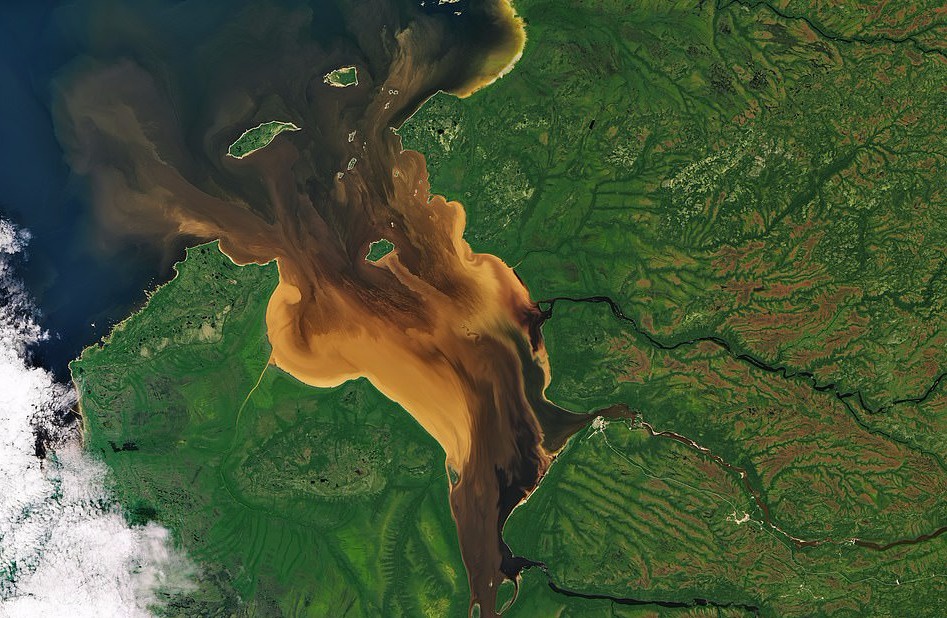 Trai Dat muon hinh van trang nhin tu tram khong gian hinh anh 3 26759956_8181215_Dissolved_organic_matter_from_the_forest_and_wetlands_can_be_see_a_114_1585925355606_1_.jpg