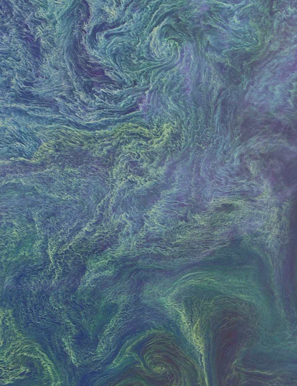 Trai Dat muon hinh van trang nhin tu tram khong gian hinh anh 23 26759962_8181215_The_Operational_Land_Imager_OLI_on_the_on_Landsat_8_satellite_ca_a_92_1585925355448_1_.jpg