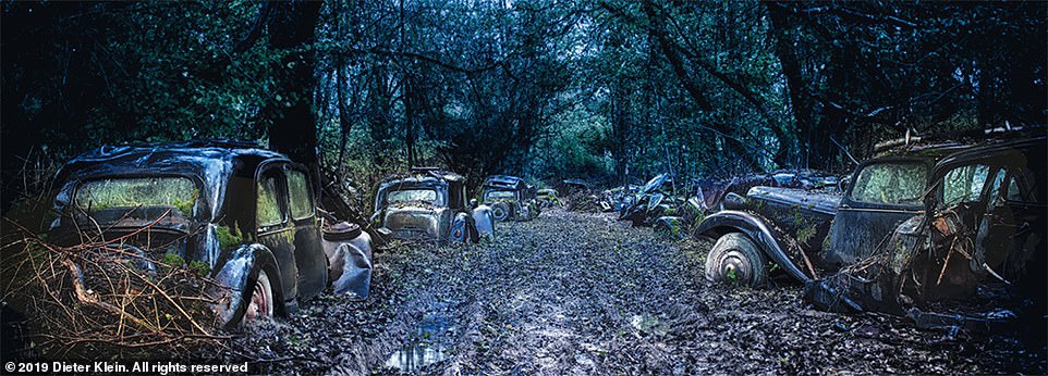 Xe co vut trong rung bi me thien nhien nuot tron hinh anh 3 27264492_8225349_While_travelling_around_France_Klein_came_across_this_row_of_aba_a_51_1587118215177.jpg