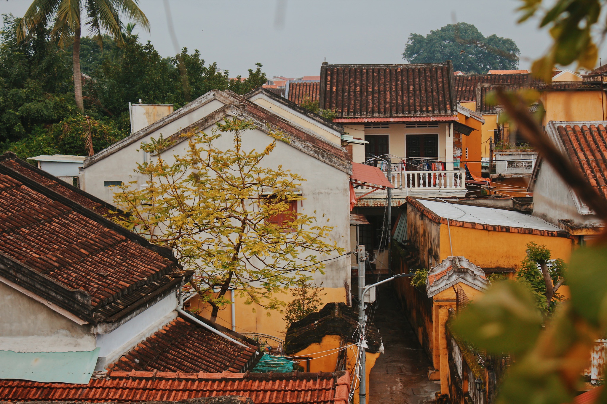 Nhung khoanh khac binh yen dung nghia o Da Nang, Hoi An hinh anh 9 35.jpg