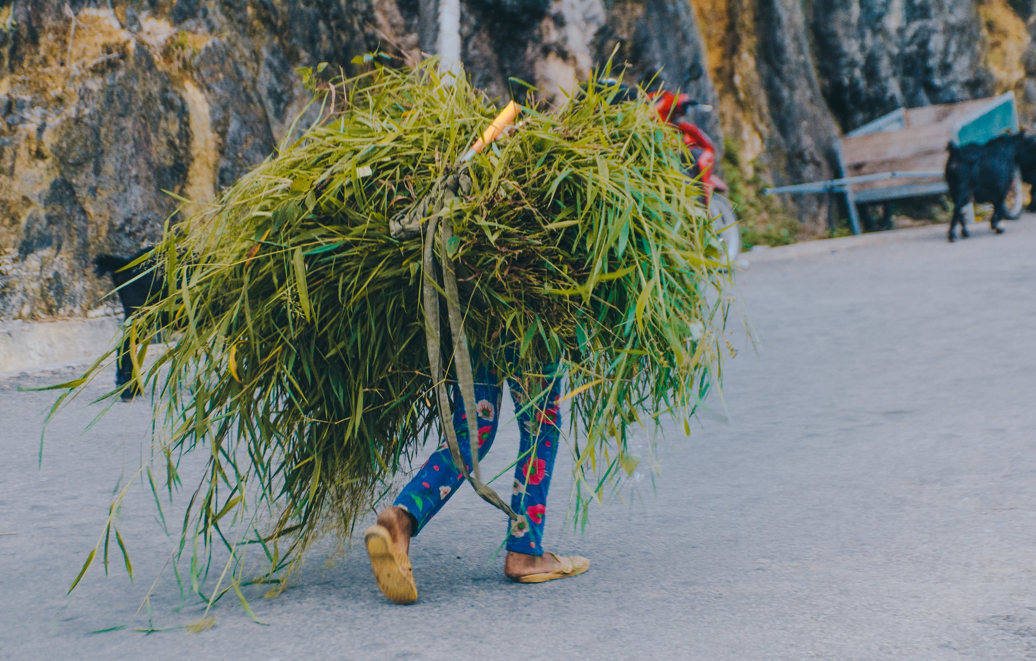 Ha Giang - chon yen binh de tim ve hinh anh 11 49792992711_d21002f34b_k.jpg