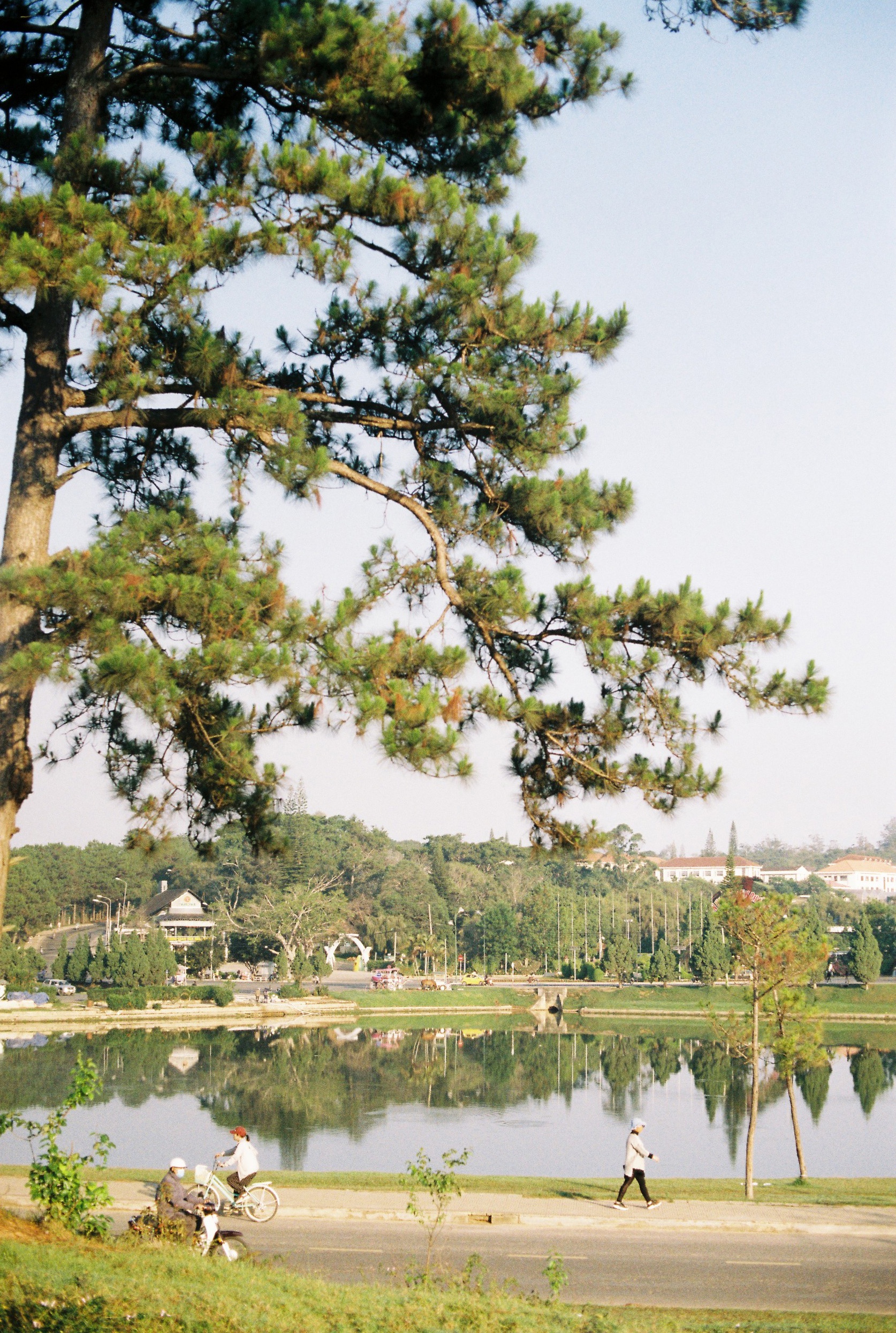 Da Lat cuoi thang 3 yen binh nhu nhung ngay xua cu hinh anh 13 620eb3259ed865863cc9.jpg