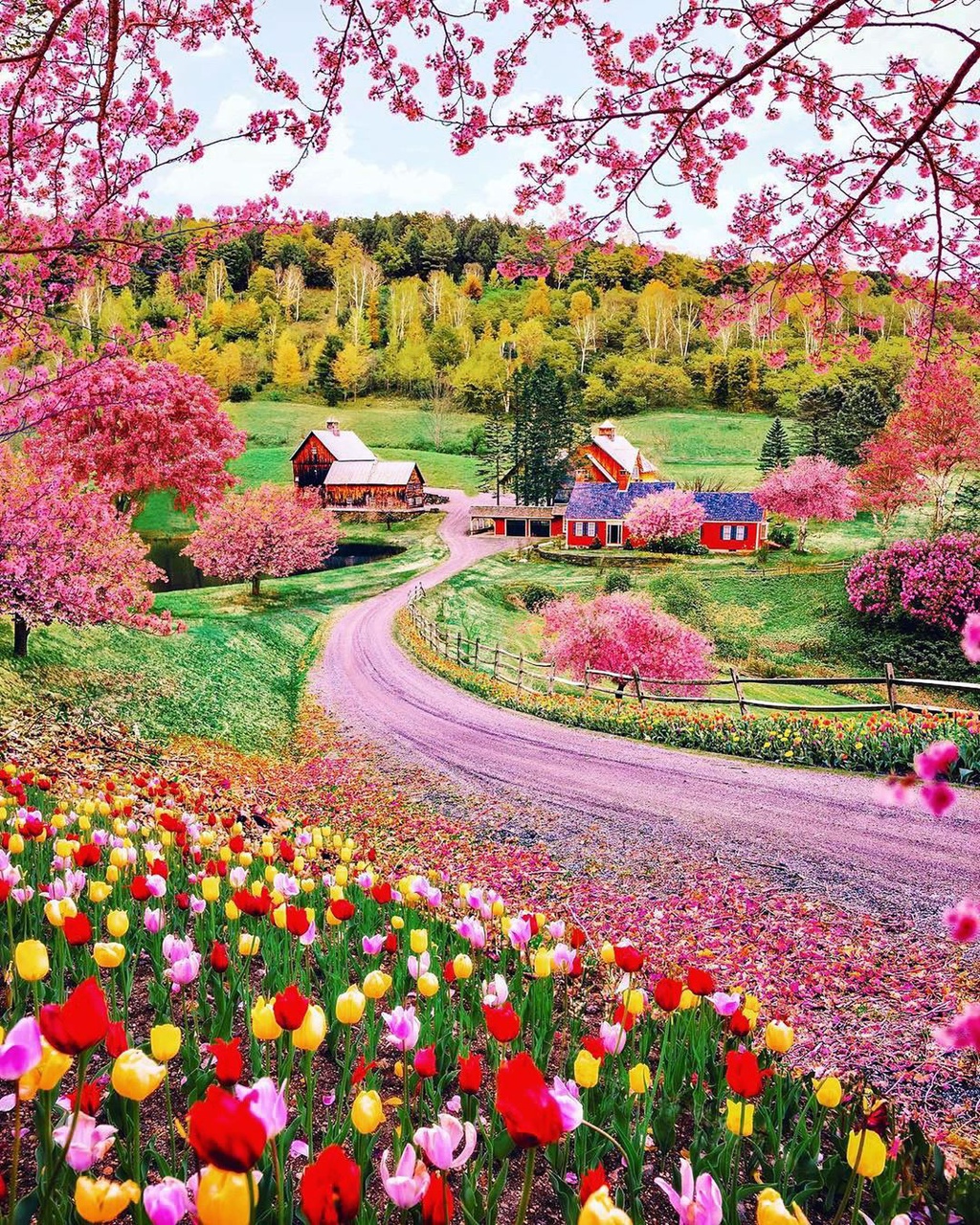 Ngoi nha nguoi lun ao nhu vuon co tich khac xa anh mang hinh anh 8 89378927_260322794977623_7097615050116241642_n.jpg