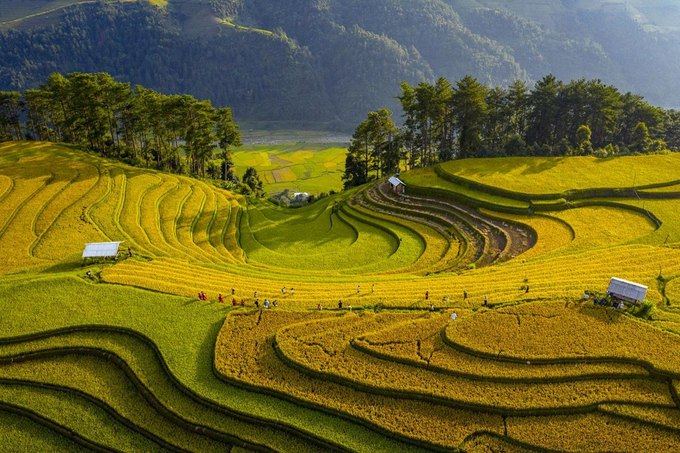 Việt Nam đoạt 2 giải vàng ảnh quốc tế