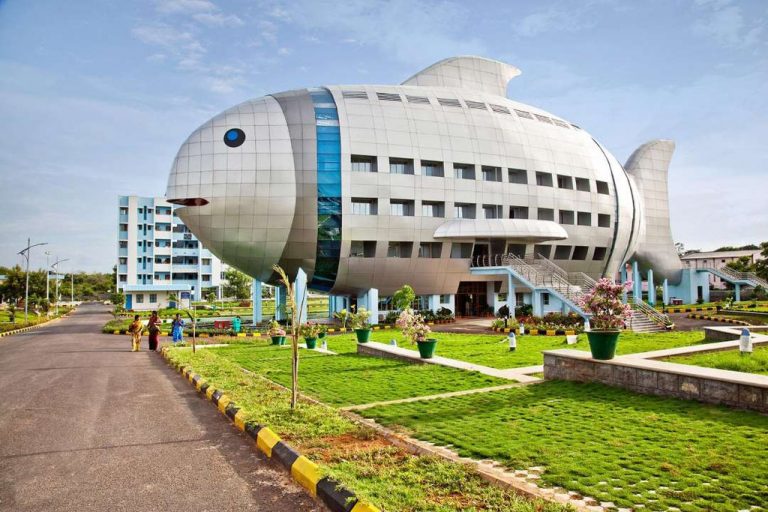 Nhà hình gấu, cá sấu và những thiết kế hình động vật trên thế giới Nhà hình gấu, cá sấu và những thiết kế hình động vật trên thế giới