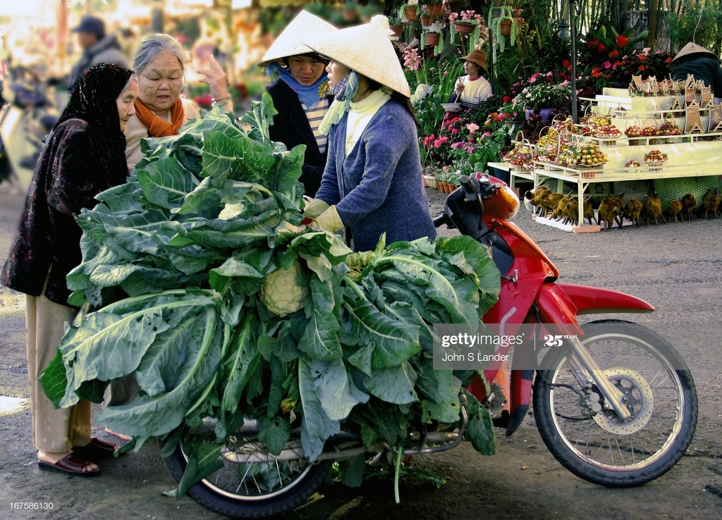 Da Lat thanh binh trong nhung buc anh tu 30 nam truoc hinh anh 11 gettyimages_167586130_2048x2048.jpg