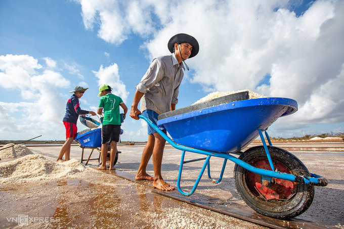 Cánh đồng muối đẹp như tranh