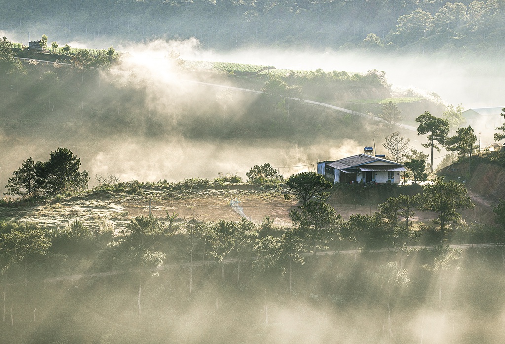 Nguoi di san nang noi thanh pho suong mo Da Lat hinh anh 2 MG_9849.jpg