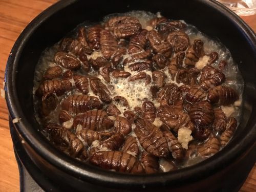 Những điều kỳ lạ chỉ gặp ở Hàn Quốc - 6
