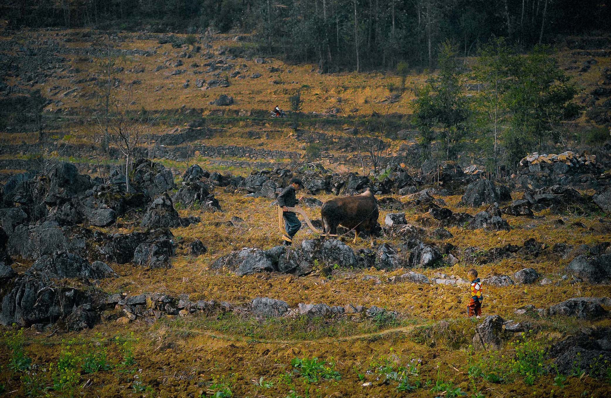 Ha Giang dep tu nhung dieu gian don hinh anh 5 NTT_8461_1.jpg