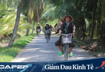 Du khách sẽ quan tâm tới xu hướng du lịch nào sau Covid-19? Du khách sẽ quan tâm tới xu hướng du lịch nào sau Covid-19? - Ảnh 1.