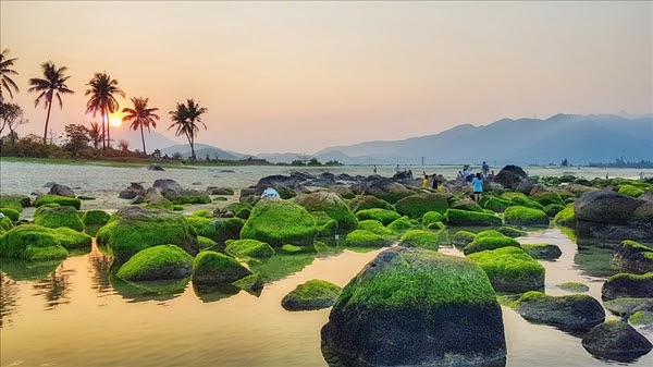 check-in-da-nang