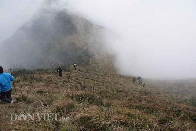 Băng rừng chinh phục đỉnh Lùng Cúng cao hơn 2.900m - 9