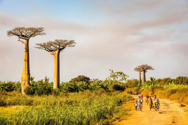 Những cảnh vật thiên nhiên lạ mắt chỉ có ở Madagascar - 3