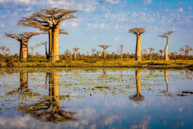 Những cảnh vật thiên nhiên lạ mắt chỉ có ở Madagascar - 7
