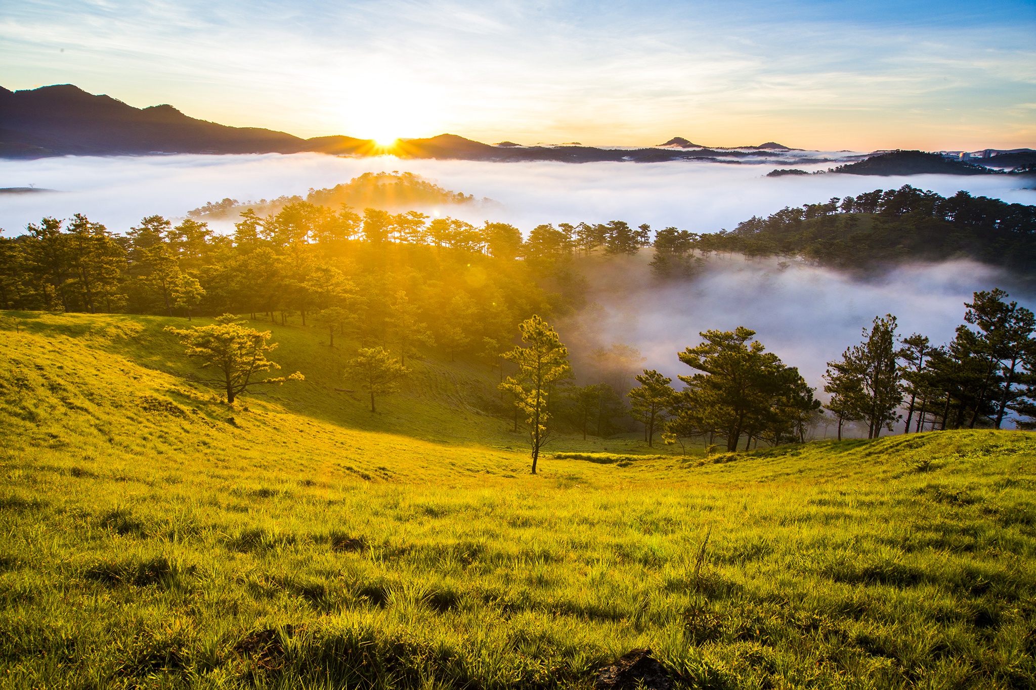 Day tu 3h sang san bien may phu kin Da Lat hinh anh 15 1_15__1.jpg